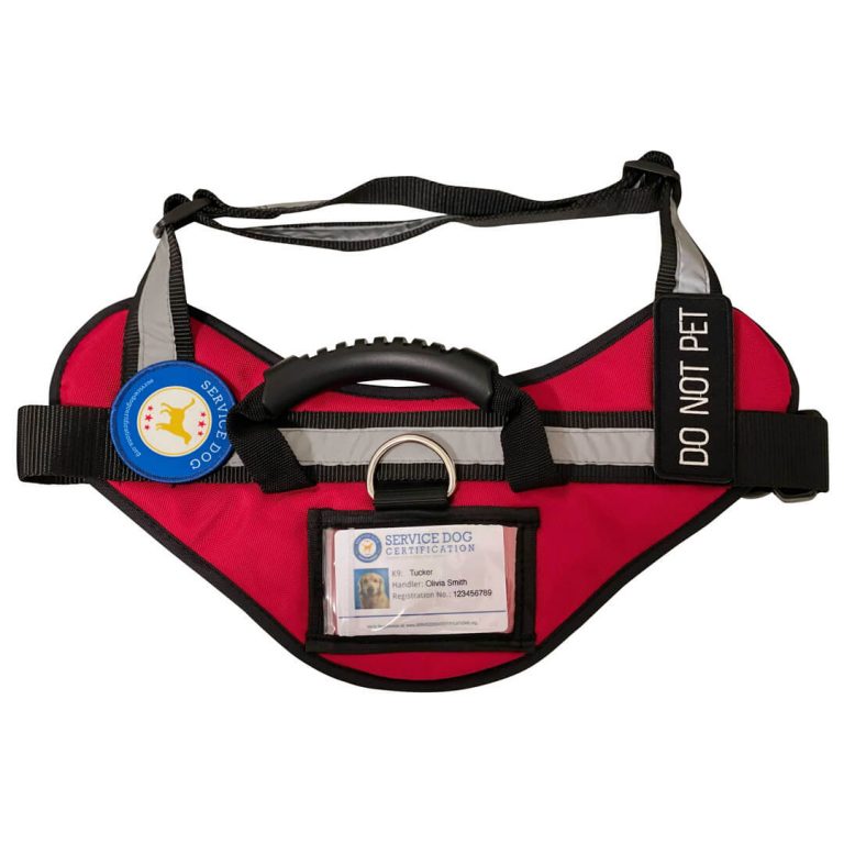 Service Dog Vests - Service Dog Certifications