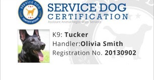 registering your service dog