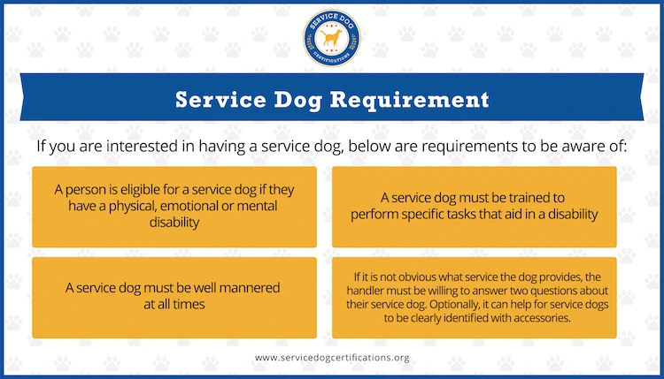 Service Dog Requirements Service Dog Certifications