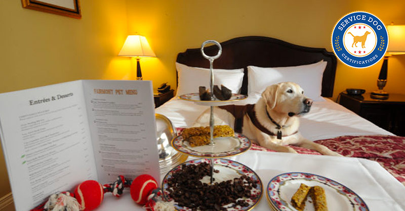 Can a Hotel Ask for Proof of Service Dog  