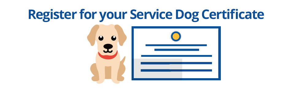 What do i need to certify my dog as a service dog