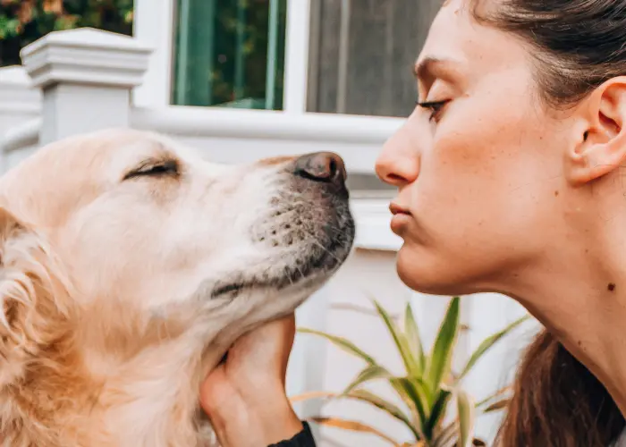 Emotional support dog with woman handler at home