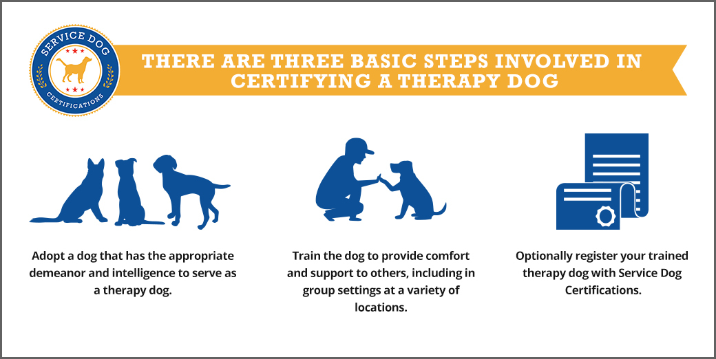 How to Certify a Therapy Dog Service Dog Certifications