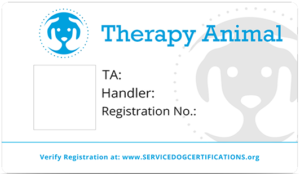 Therapy Dog Certification Online Service Dog Certifications