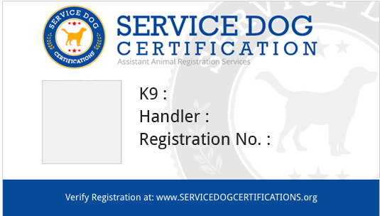 Registration Requirements Service Dog