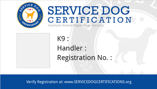 certified dog handler