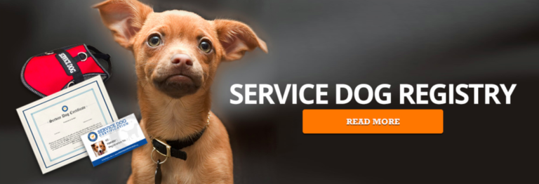 Service Dog Rules for Staying in Hotels - Service Dog Certifications