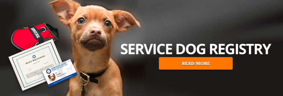 registering my service dog