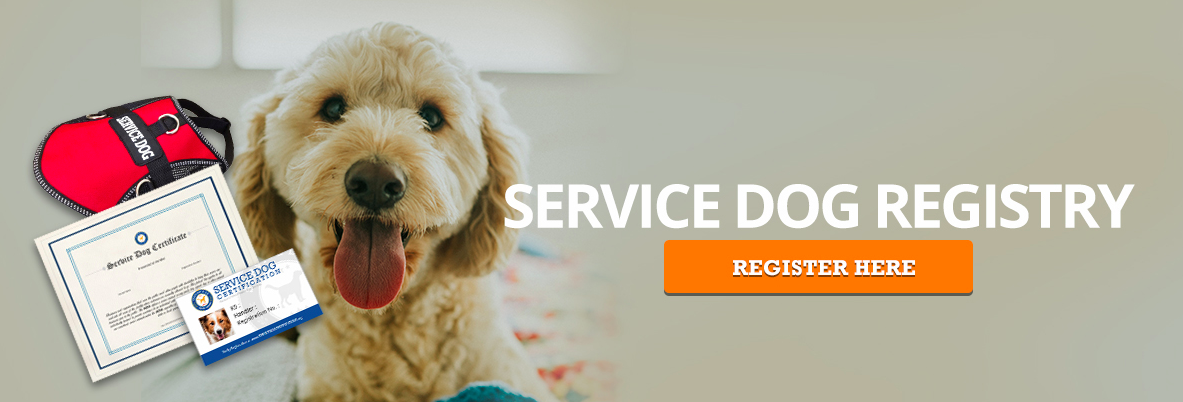 registering your service dog
