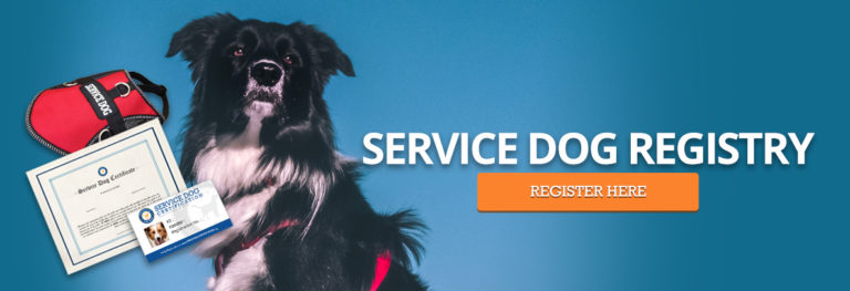  Texas Service Dog Laws Service Dog Certifications