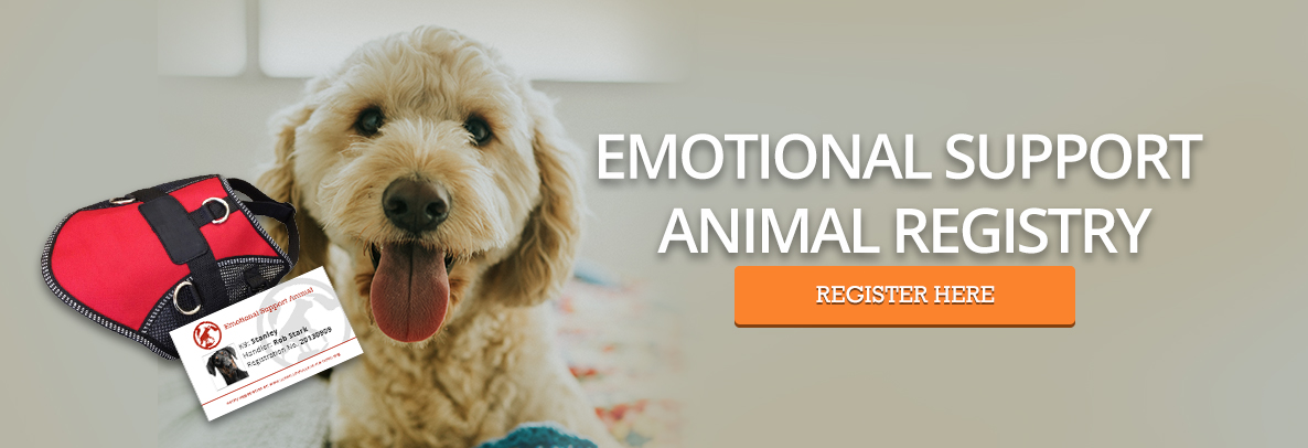 how to get your pet registered as an emotional support animal