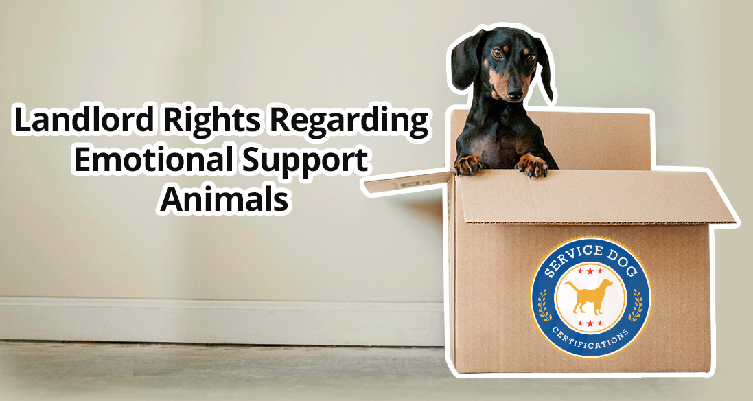 Landlord Rights Regarding Emotional Support Animals