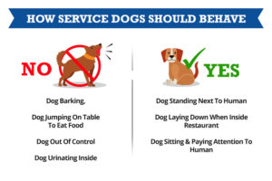 What is a Public Access Test for Service Animals? - Service Dog ...