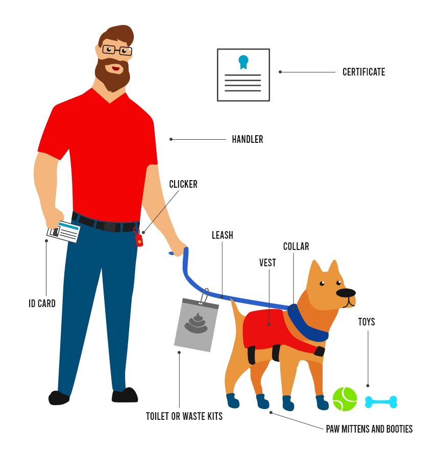 ADASDF -- Working Dog Equipment, Service Dog Vests And Harness, Dog ...