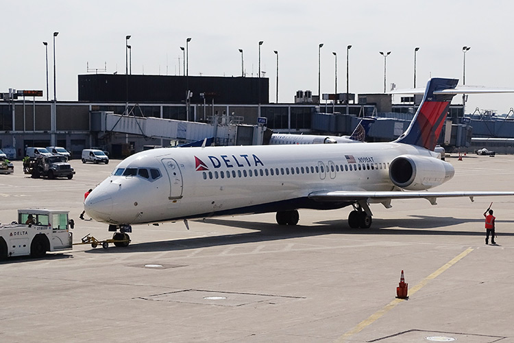 Can You Take Dogs On Delta Flights