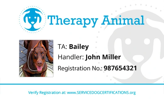 Therapy Dog Certificate ID Card Registration Service Dog Certificates