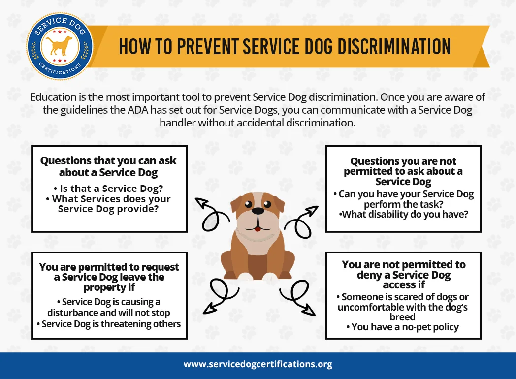 How To Prevent Service Dog Discrimination 2.webp
