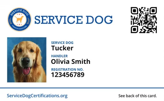 how to get a dog licensed as a service dog
