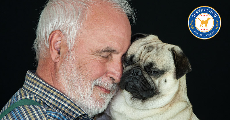how therapy dog helps alzheimers