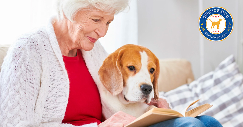 do assisted living facilities allow dogs