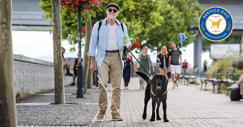 what benefits do therapy dogs have