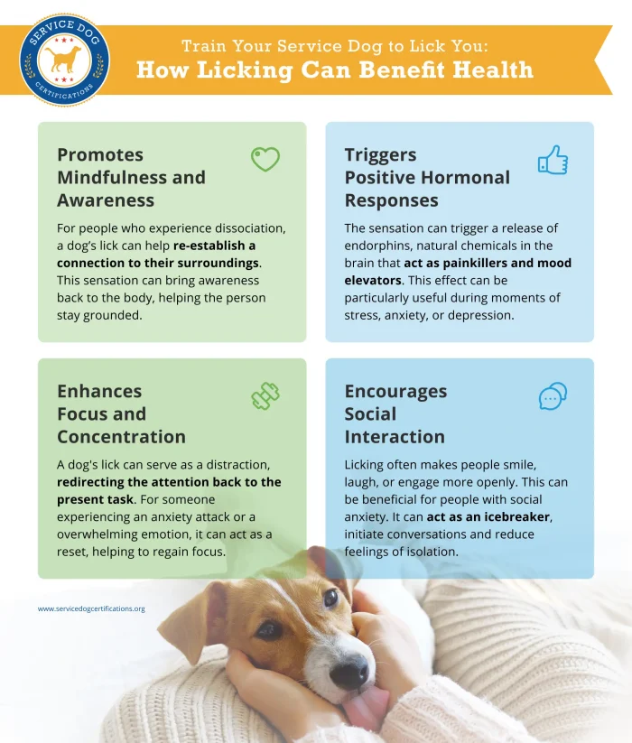 How Licking Can Benefit Health