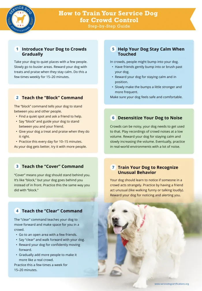 How to Train Your Service Dog  for Crowd Control