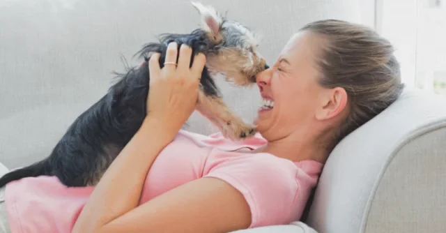 Why and How to Train Your Service Dog to Lick You