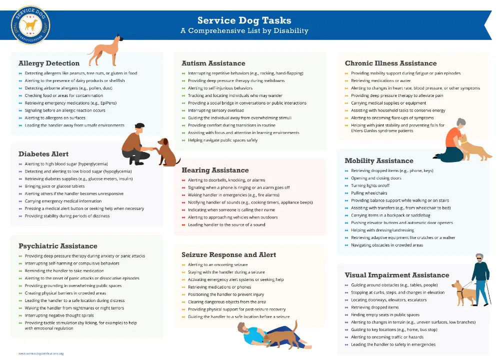 The Ultimate Guide to Service Dog Tasks: A Comprehensive List by Disability