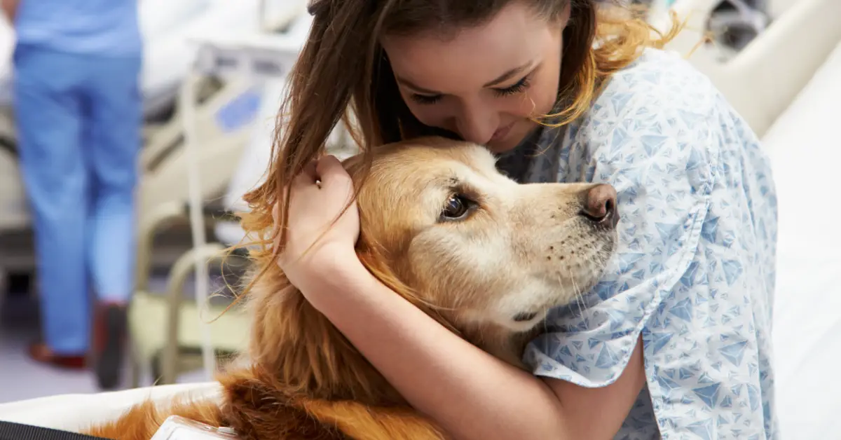 Can You Bring a Service Dog to the Hospital?