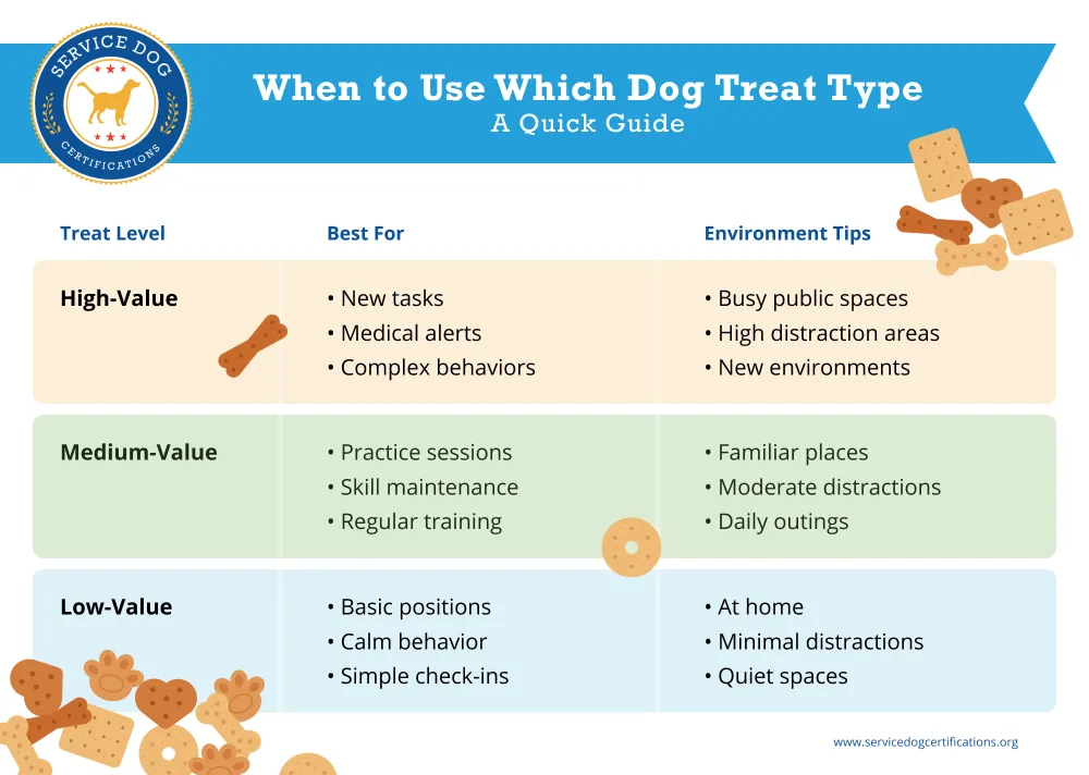 When to Use Which Dog Treat Type A Quick Guide